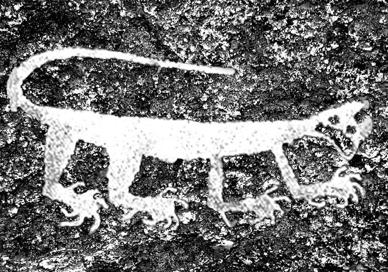 Иллюстрация к книге — Финское солнце [i_005.jpg]