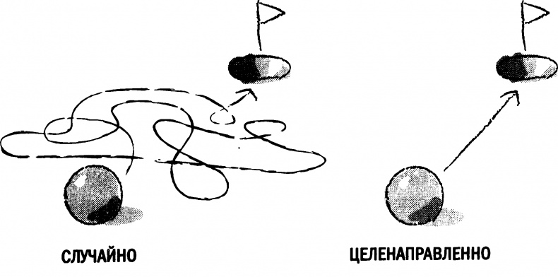 Иллюстрация к книге — Мораль и разум. Как природа создавала наше универсальное чувство добра и зла [img_11.jpg]