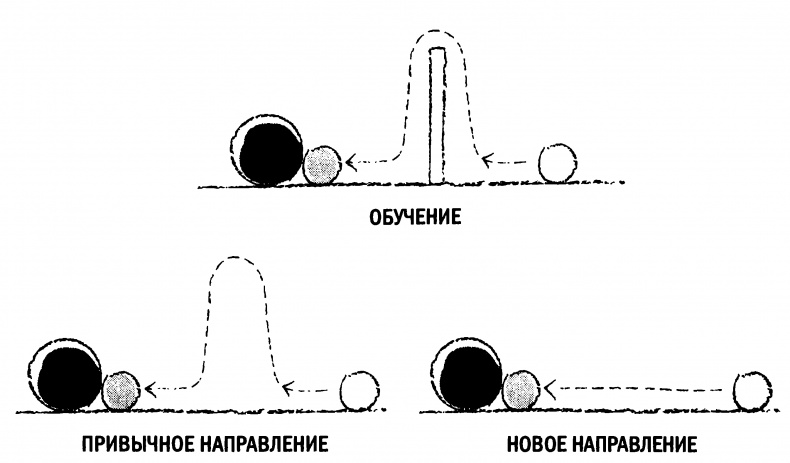 Иллюстрация к книге — Мораль и разум. Как природа создавала наше универсальное чувство добра и зла [img_12.jpg]