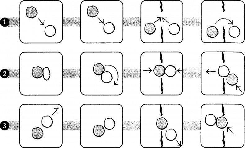 Иллюстрация к книге — Мораль и разум. Как природа создавала наше универсальное чувство добра и зла [img_13.jpg]