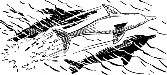 Иллюстрация к книге — Записки экспедитора Тайной канцелярии. Приключения русской княжны в Новом свете [i_031.jpg]