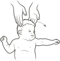 Иллюстрация к книге — Играем по науке. 50 удивительных открытий, которые вы сделаете вместе с ребенком [i_003.jpg]