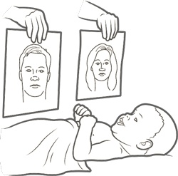 Иллюстрация к книге — Играем по науке. 50 удивительных открытий, которые вы сделаете вместе с ребенком [i_009.jpg]