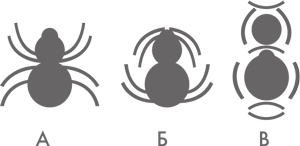 Иллюстрация к книге — Играем по науке. 50 удивительных открытий, которые вы сделаете вместе с ребенком [i_014.jpg]