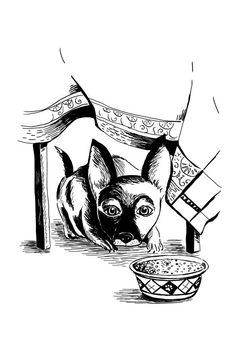 Иллюстрация к книге — Ведьма Страны Туманов [i_004.jpg]