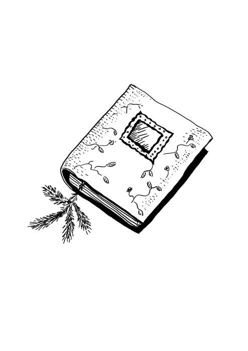 Иллюстрация к книге — Ведьма Страны Туманов [i_015.jpg]