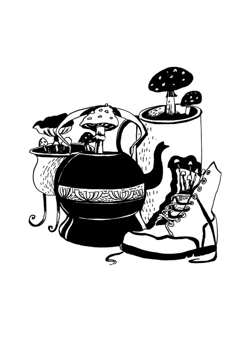 Иллюстрация к книге — Ведьма Страны Туманов [i_022.jpg]