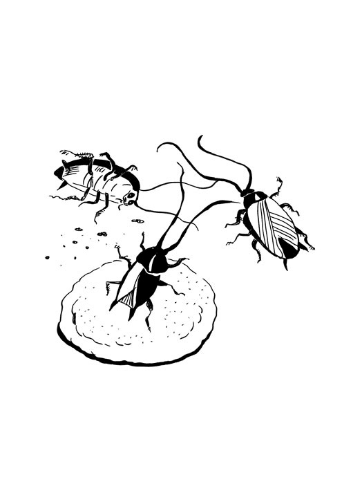 Иллюстрация к книге — Ведьма Страны Туманов [i_031.jpg]