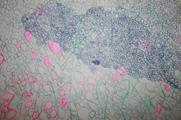 Иллюстрация к книге — Останься со мной навсегда [i_002.jpg]