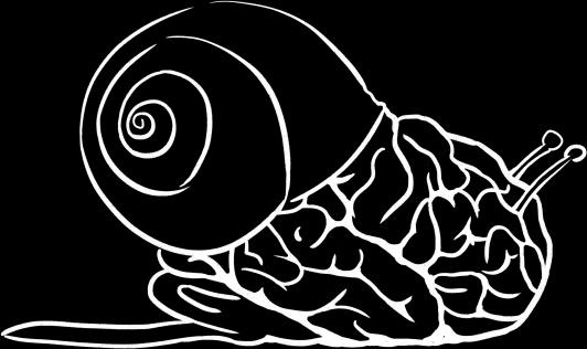 Иллюстрация к книге — Ешь! Не работай! Богатей! 7 простых правил успешных и счастливых [_188.jpg]