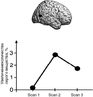 Иллюстрация к книге — Антимозг. Цифровые технологии и мозг [i_007.jpg]
