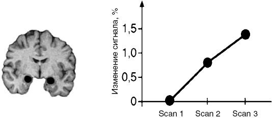Иллюстрация к книге — Антимозг. Цифровые технологии и мозг [i_010.jpg]