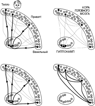 Иллюстрация к книге — Антимозг. Цифровые технологии и мозг [i_012.jpg]