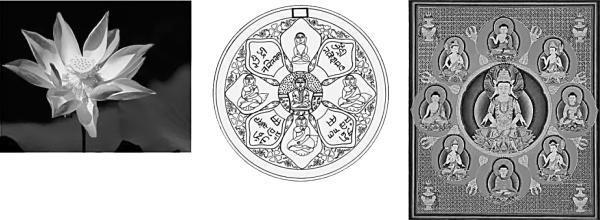 Иллюстрация к книге — Антимозг. Цифровые технологии и мозг [i_017.jpg]