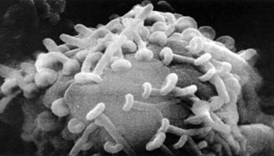 Иллюстрация к книге — Антимозг. Цифровые технологии и мозг [i_018.jpg]