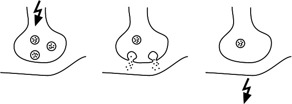 Иллюстрация к книге — Антимозг. Цифровые технологии и мозг [i_020.jpg]