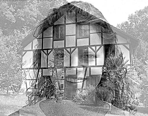 Иллюстрация к книге — Антимозг. Цифровые технологии и мозг [i_027.jpg]