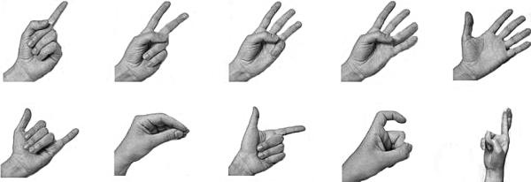 Иллюстрация к книге — Антимозг. Цифровые технологии и мозг [i_054.jpg]