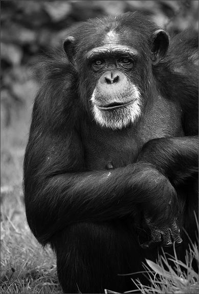 Иллюстрация к книге — Интеллектика. Как работает ваш мозг [_15.jpg]