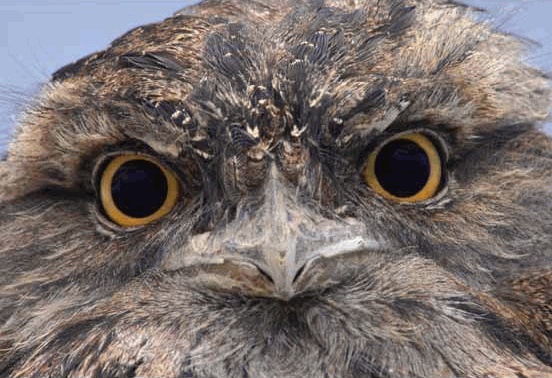 Иллюстрация к книге — Интегральное видение. Краткое введение в революционный интегральный подход к жизни, Богу, вселенной и всему остальному [_101.jpg]