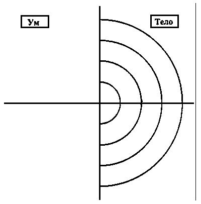 Иллюстрация к книге — Интегральная психология. Сознание, Дух, Психология, Терапия [imgB4F3.jpg]
