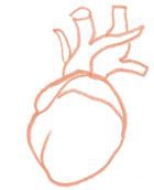 Иллюстрация к книге — Территория заблуждений. Какие ошибки совершают умные люди [i_064.jpg]