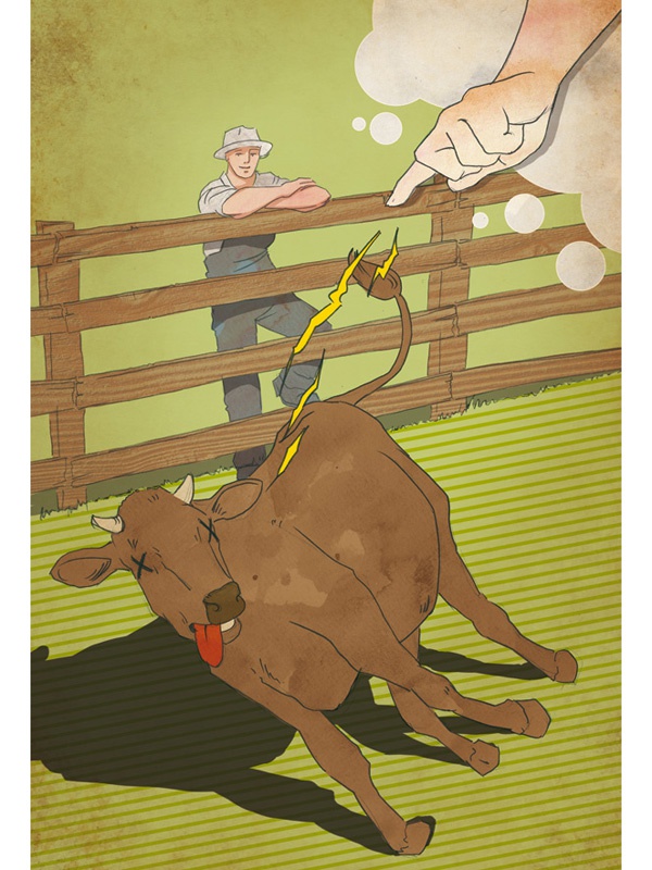 Иллюстрация к книге — Территория заблуждений. Какие ошибки совершают умные люди [i_075.jpg]