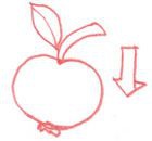 Иллюстрация к книге — Территория заблуждений. Какие ошибки совершают умные люди [i_100.jpg]