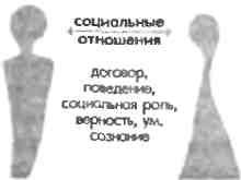 Иллюстрация к книге — Любовь и другие человеческие отношения [i_002.jpg]