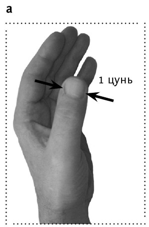 Иллюстрация к книге — Большой атлас целительных точек. 200 упражнений для здоровья и долголетия [i_005.jpg]