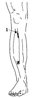 Иллюстрация к книге — Большой атлас целительных точек. 200 упражнений для здоровья и долголетия [i_008.jpg]