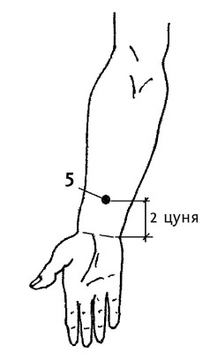 Иллюстрация к книге — Большой атлас целительных точек. 200 упражнений для здоровья и долголетия [i_012.jpg]