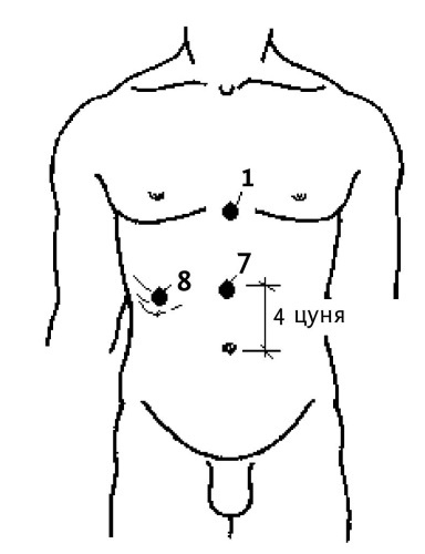 Иллюстрация к книге — Большой атлас целительных точек. 200 упражнений для здоровья и долголетия [i_014.jpg]