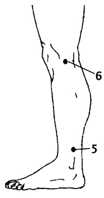 Иллюстрация к книге — Большой атлас целительных точек. 200 упражнений для здоровья и долголетия [i_017.jpg]
