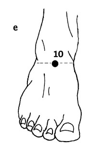 Иллюстрация к книге — Большой атлас целительных точек. 200 упражнений для здоровья и долголетия [i_040.jpg]