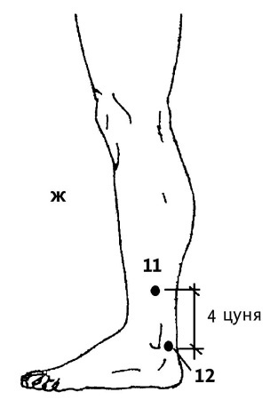 Иллюстрация к книге — Большой атлас целительных точек. 200 упражнений для здоровья и долголетия [i_041.jpg]