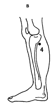 Иллюстрация к книге — Большой атлас целительных точек. 200 упражнений для здоровья и долголетия [i_044.jpg]