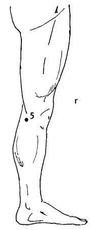 Иллюстрация к книге — Большой атлас целительных точек. 200 упражнений для здоровья и долголетия [i_045.jpg]