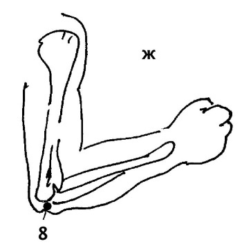 Иллюстрация к книге — Большой атлас целительных точек. 200 упражнений для здоровья и долголетия [i_048.jpg]