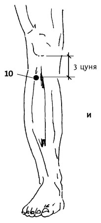 Иллюстрация к книге — Большой атлас целительных точек. 200 упражнений для здоровья и долголетия [i_050.jpg]