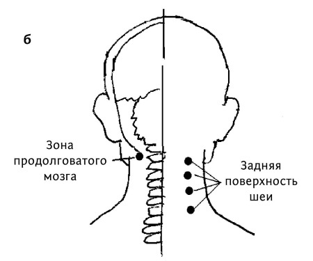 Иллюстрация к книге — Большой атлас целительных точек. 200 упражнений для здоровья и долголетия [i_056.jpg]