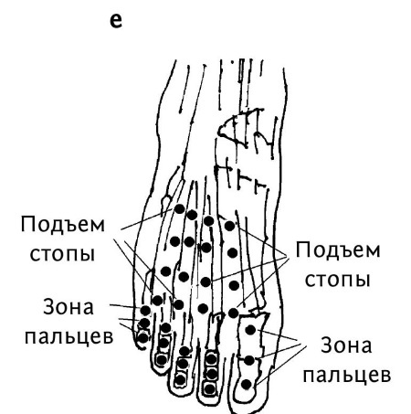 Иллюстрация к книге — Большой атлас целительных точек. 200 упражнений для здоровья и долголетия [i_077.jpg]