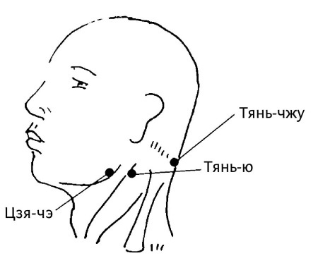 Иллюстрация к книге — Большой атлас целительных точек. 200 упражнений для здоровья и долголетия [i_081.jpg]