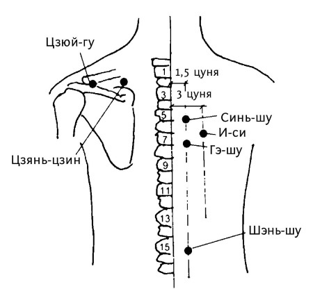 Иллюстрация к книге — Большой атлас целительных точек. 200 упражнений для здоровья и долголетия [i_083.jpg]