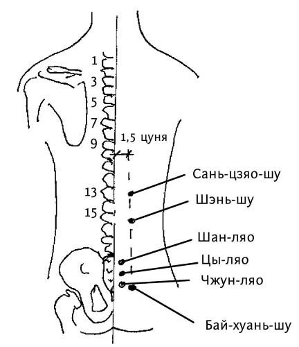 Иллюстрация к книге — Большой атлас целительных точек. 200 упражнений для здоровья и долголетия [i_097.jpg]