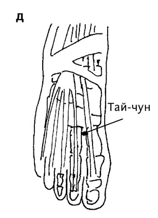 Иллюстрация к книге — Большой атлас целительных точек. 200 упражнений для здоровья и долголетия [i_099.jpg]