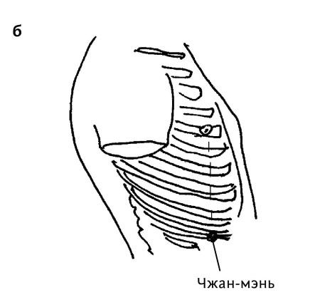 Иллюстрация к книге — Большой атлас целительных точек. 200 упражнений для здоровья и долголетия [i_104.jpg]
