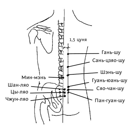 Иллюстрация к книге — Большой атлас целительных точек. 200 упражнений для здоровья и долголетия [i_105.jpg]