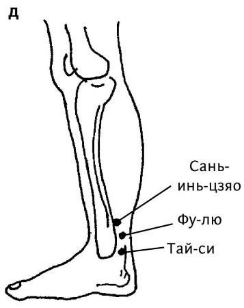 Иллюстрация к книге — Большой атлас целительных точек. 200 упражнений для здоровья и долголетия [i_107.jpg]