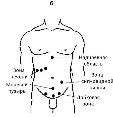 Иллюстрация к книге — Большой атлас целительных точек. 200 упражнений для здоровья и долголетия [i_112.jpg]